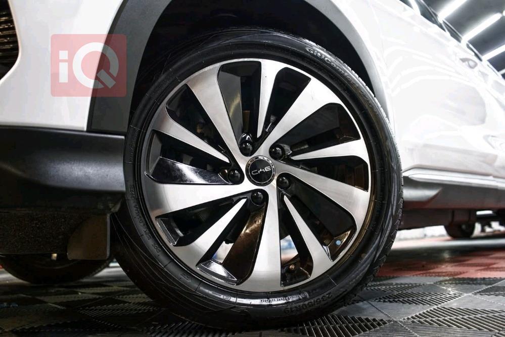 بي واي دي سونغ بلس